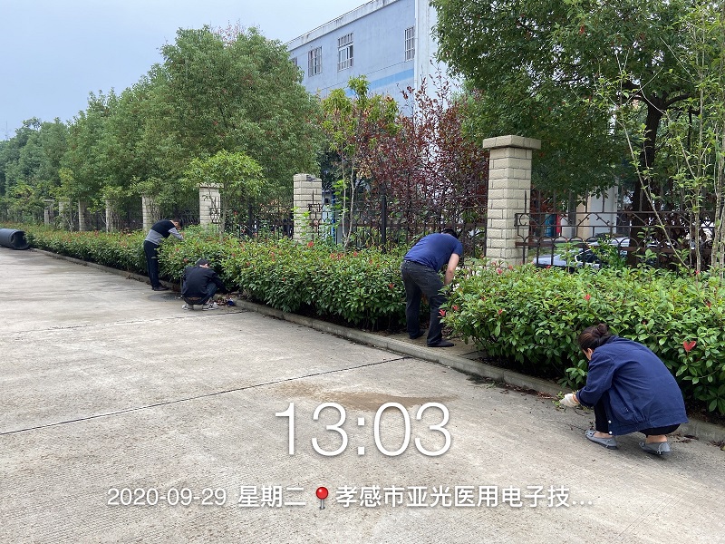 公司組織全體員工開(kāi)展除草活動(dòng)
