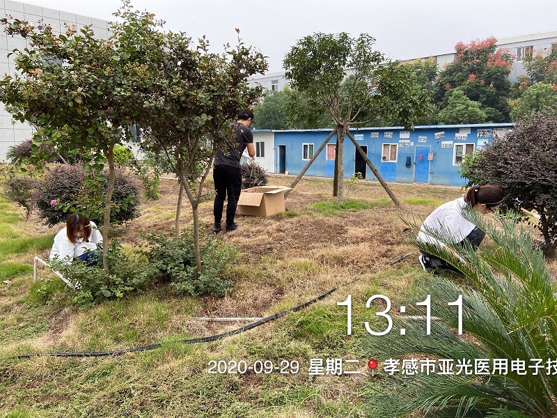 公司組織全體員工開(kāi)展除草活動(dòng)