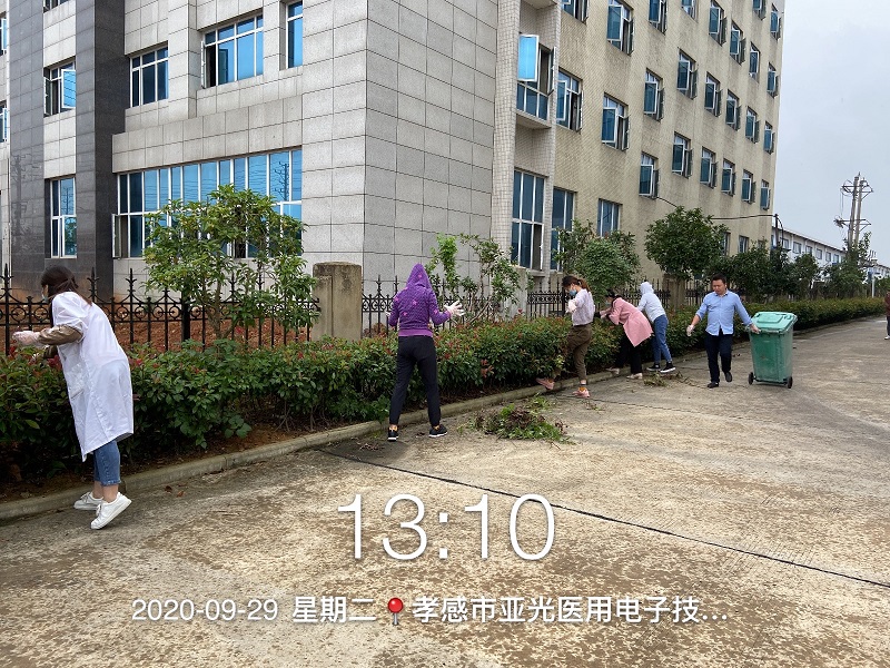 公司組織全體員工開(kāi)展除草活動(dòng)