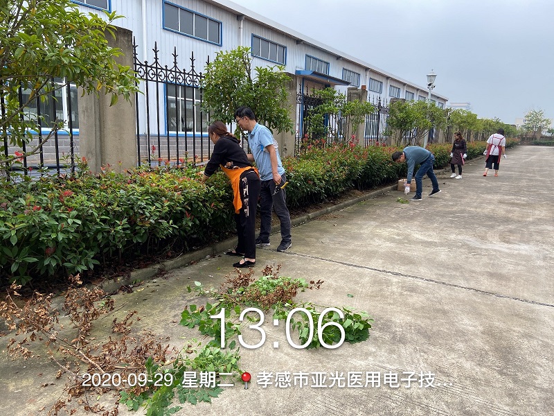 公司組織全體員工開(kāi)展除草活動(dòng)